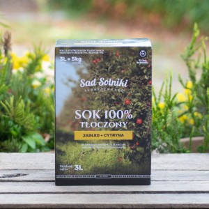 Sad Solniki 100% sok tłoczony jabłko + cytryna NFC 3l 