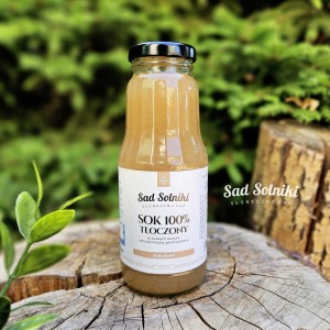 Sad Solniki 100% sok tłoczony jabłkowy NFC 300 ml
