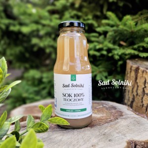 Sad Solniki 100% sok tłoczony jabłko + mięta NFC 300 ml 